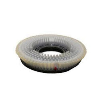 IPC Eagle 21” Nylon Floor Scrubbing Brush for CT230 Rider Scrubbers - 2 Required Thumbnail