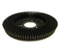 20 inch Pacific Poly Auto Scrubber Brush